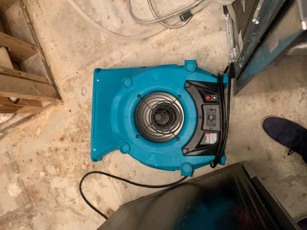Air mover drying equipment for Mold Remediation & Removal in Greencastle